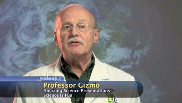 What is the difference between a virus and a bacteria?: Fun Science: The Human Body