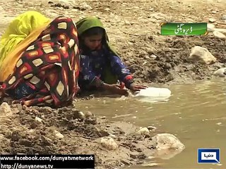Dunya News - Dera Bugti: People force to drink water from dirty ponds