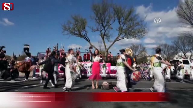 Ulusal Kiraz Çiçeği Festivali başladı