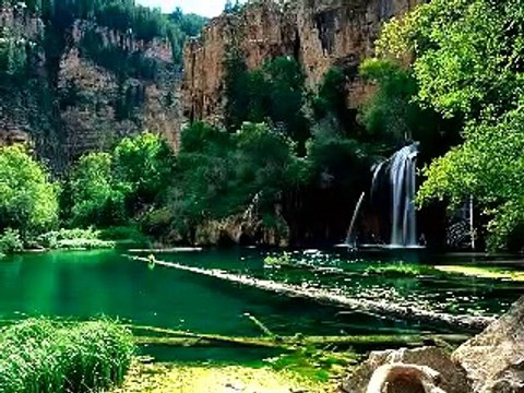 El sonido de la naturaleza..los pajaros Música de relajación RELAX MUSIC