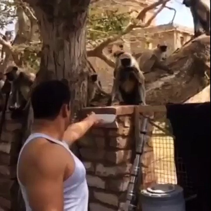 Hidden Video of Salman Khan 2015