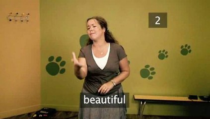 How To Show Compliment To Someone Using Sign Language