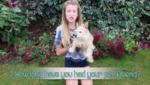 Emily Does The Furry Friend Tag!