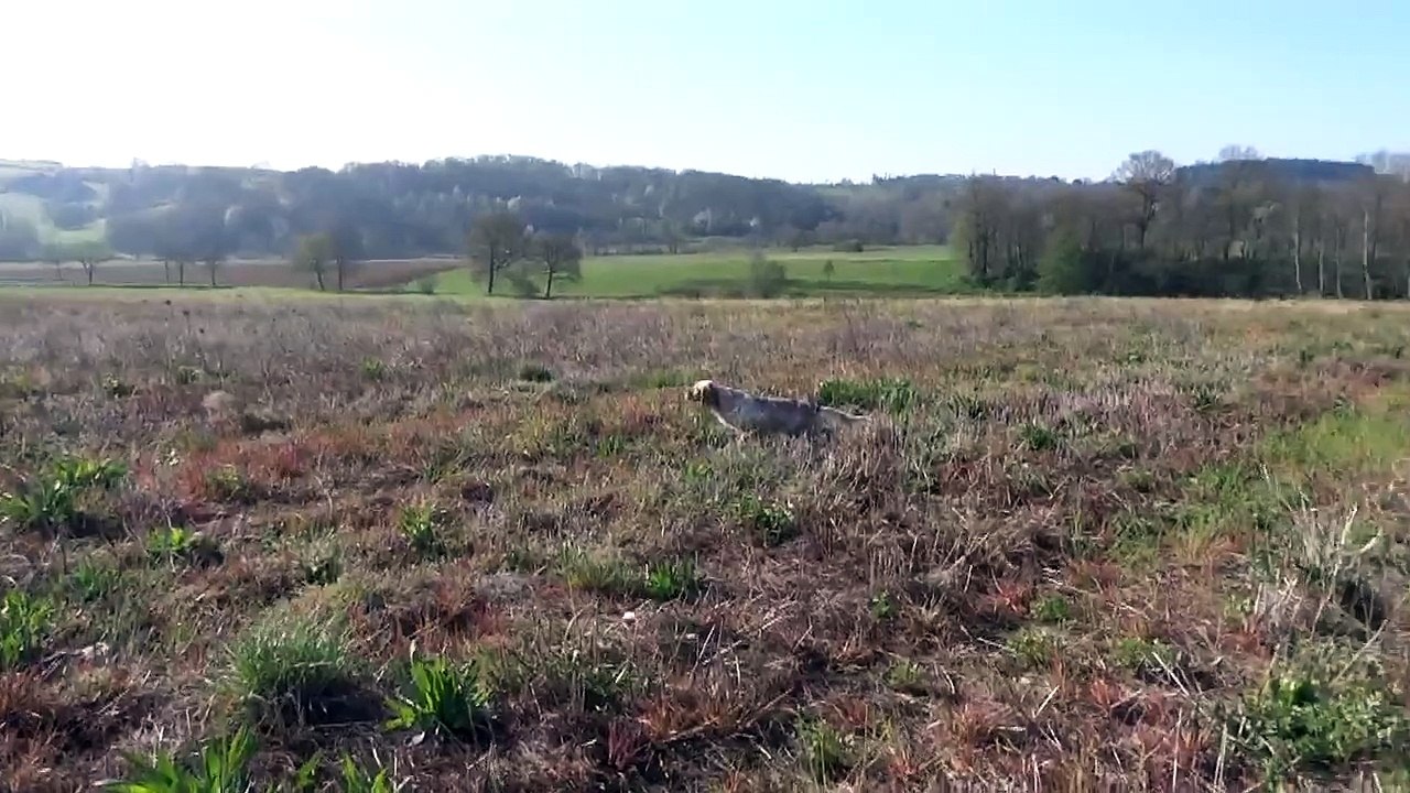 Entrainement de printemps 2015 avec Irika.