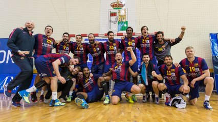 HIGHLIGHTS: MMT Seguros Zamora - FC Barcelona, 19-45 (League, Season 2014/15)
