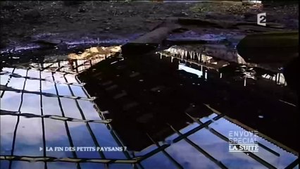La perte des petits paysans (reportage)envoyé Spécial