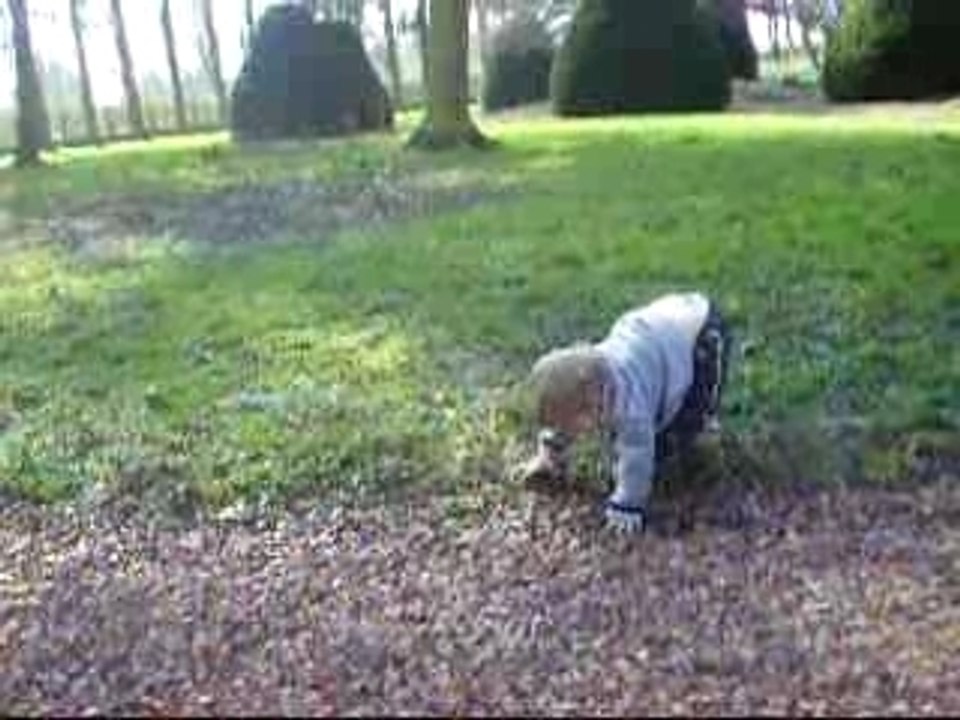 Balade au parc
