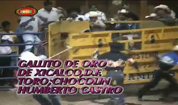 Torneo Nac. de Toros de Reparo Rey de Reyes [Lazo y Grapa]