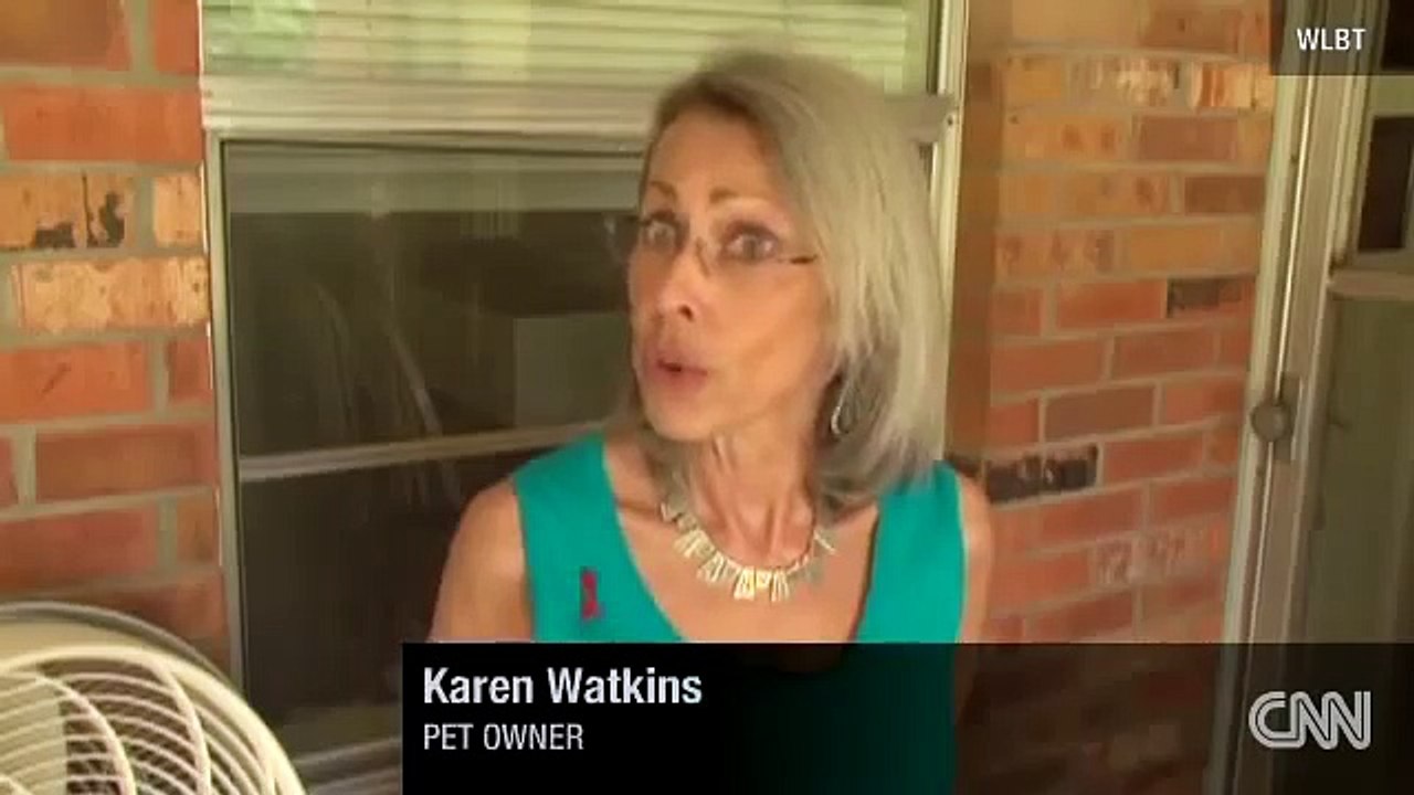 !!SQUIRREL ADOPTED BY CAT LEARNS TO PURR!!