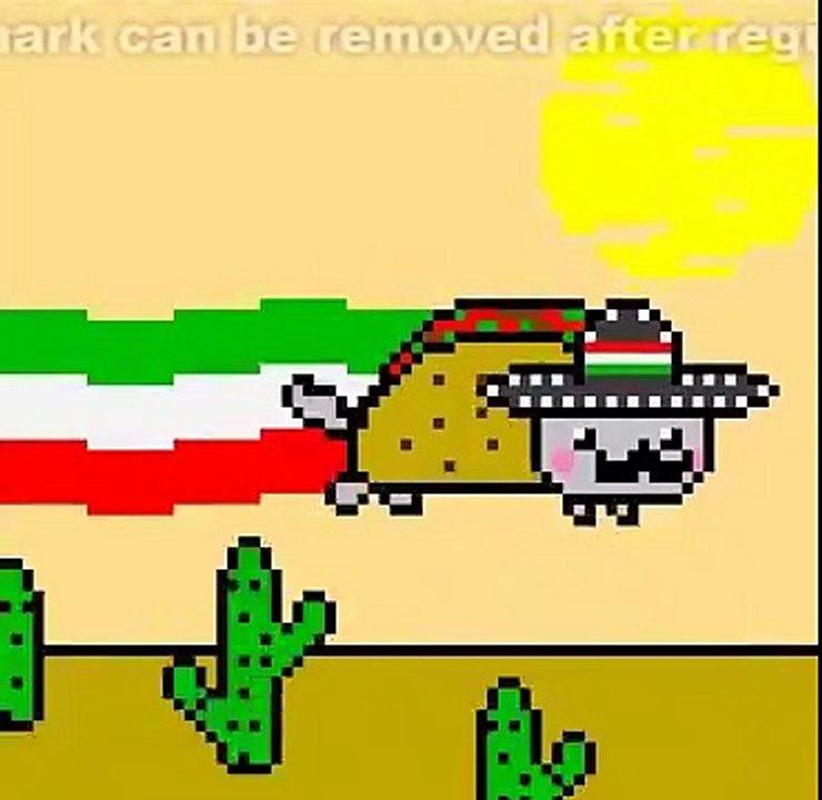 [Mexican Nyan Cat♥]