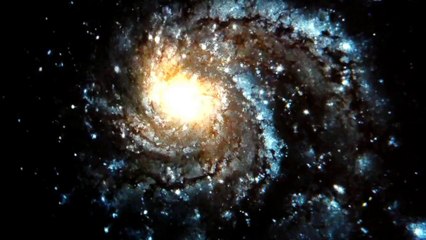 HARD TIME Pascal Cobra