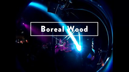 Live de Boreal Wood @ Open Mic Sosh aime les inRocKs lab
