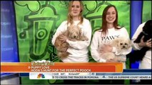 Today Show Co-Host Hoda Kotb Adopts from PAWS Chicago