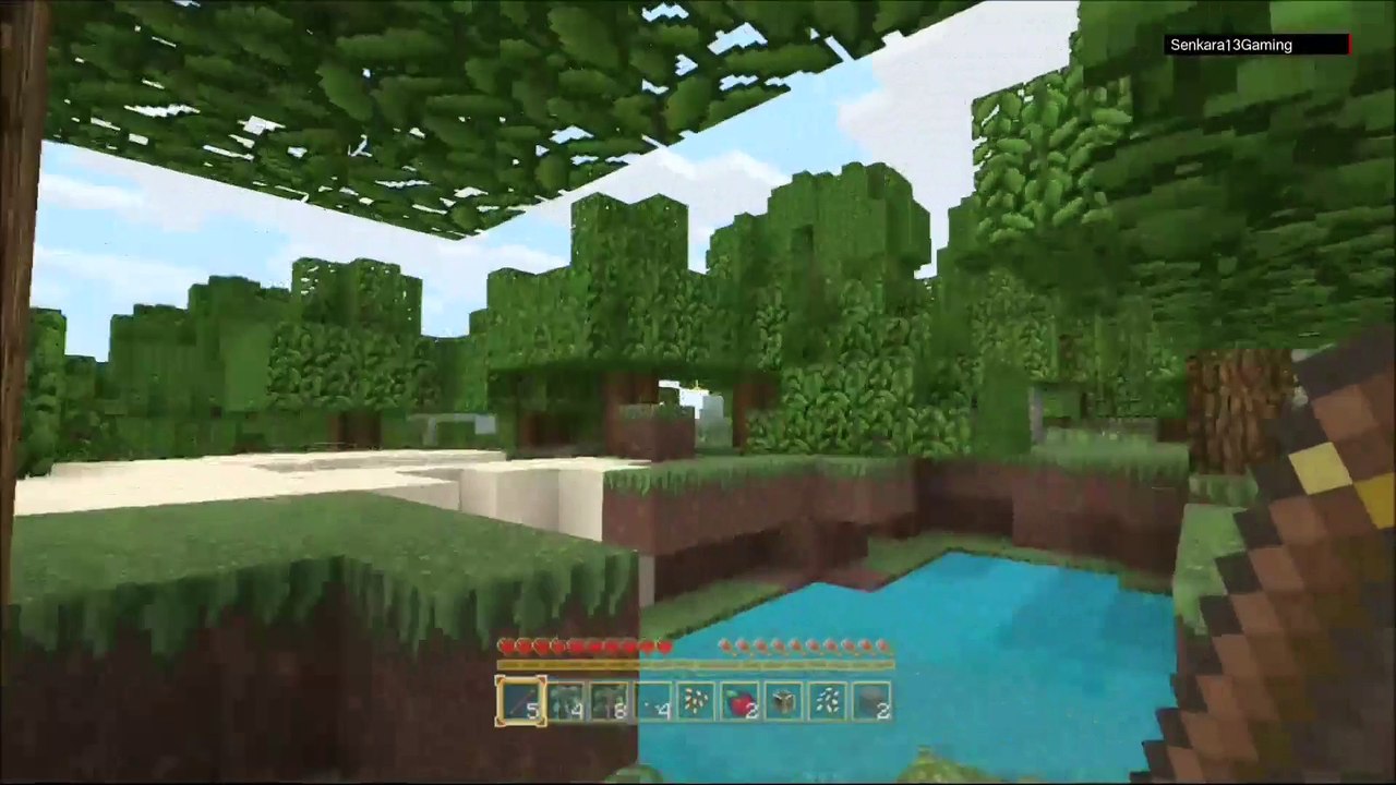 Minecraft survie solo #parti1 (ps3 édition)