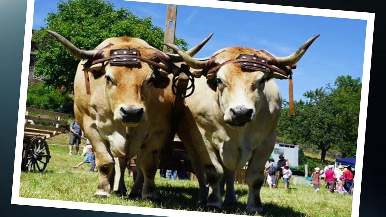 Fête à Orcières 2015