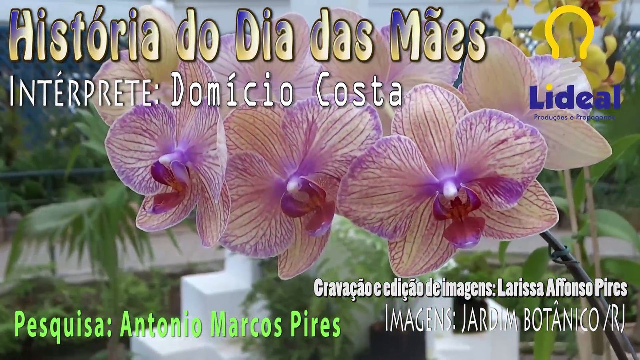 HISTÓRIA DO DIA DAS MÃES - DOMÍCIO COSTA (SEGUNDO DOMINGO DE MAIO) - PESQ. ANTONIO MARCOS PIRES