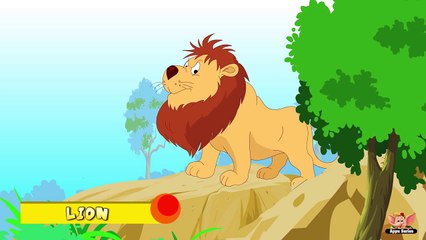 Animal Facts in Hindi - Lion
