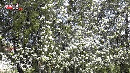 Άνοιξη. Τόσο κοντά και τόσο μακριά!