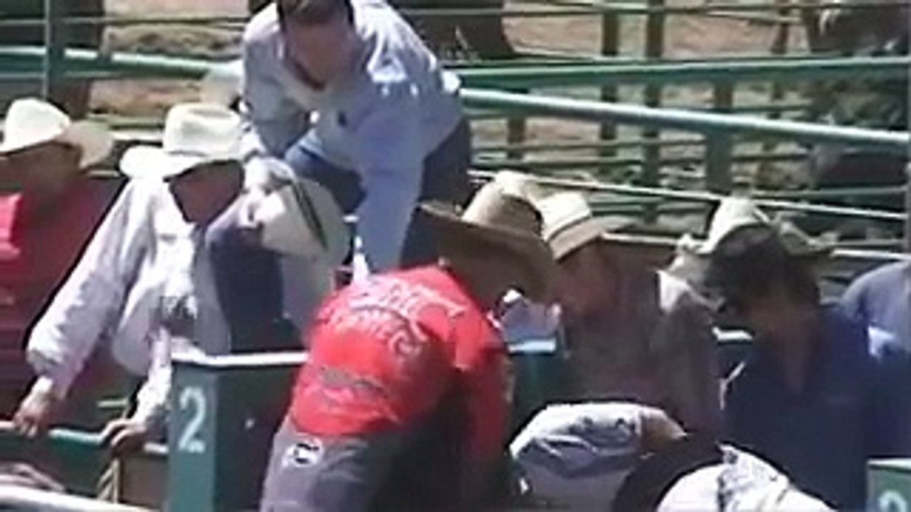 Rowell Rodeo Caught Shocking Horses