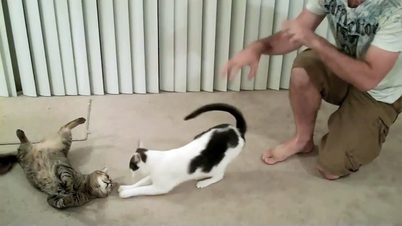 Mean Kitty - Love Me, Beat Me 7.30.09