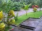Flash Flood Video Before and After Rain,  Ubud Bali Indonesia