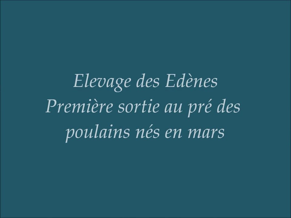 Première sortie au pré des poulains (avril 2015)