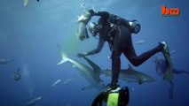 Brave Divers Remove Hooks From Sharks