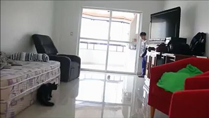 شكري الواعر متاع لقطاطس   عالمية هههههههه