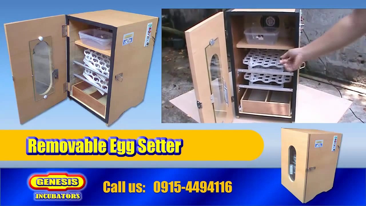 Egg Incubator
