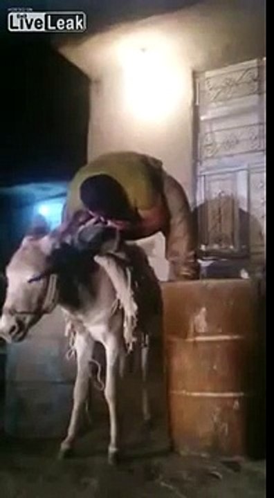 Man lifts donkey with his teeth