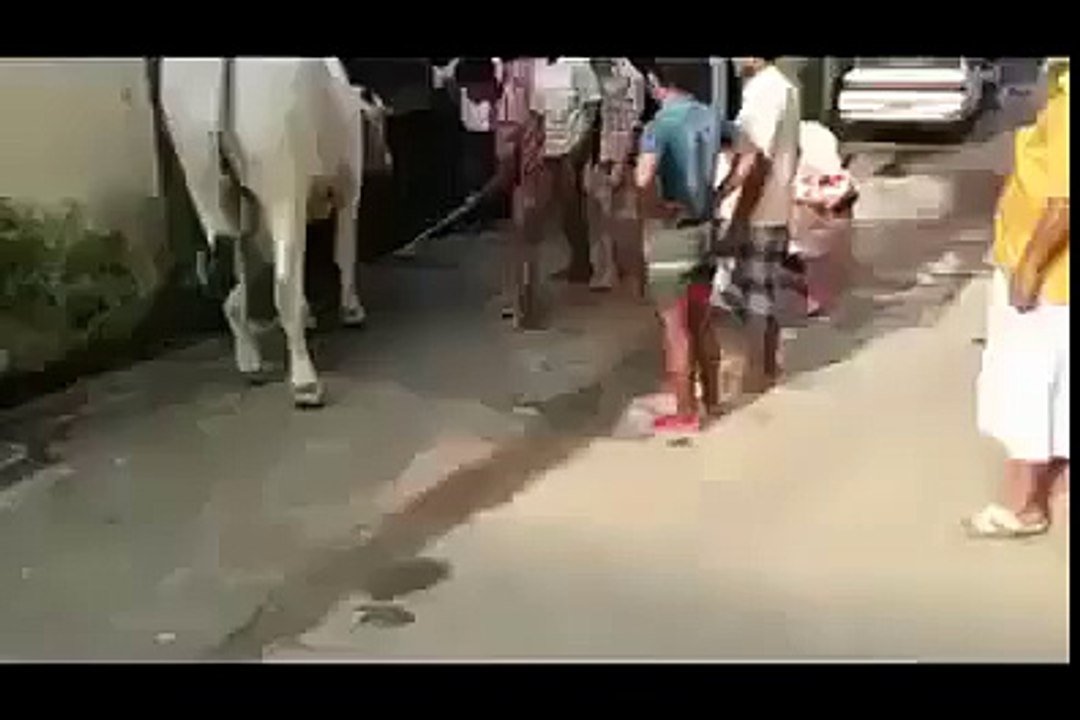 Janwar Ka Hamla