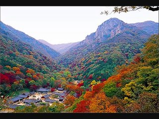 Nasyid: Solla alaikallah