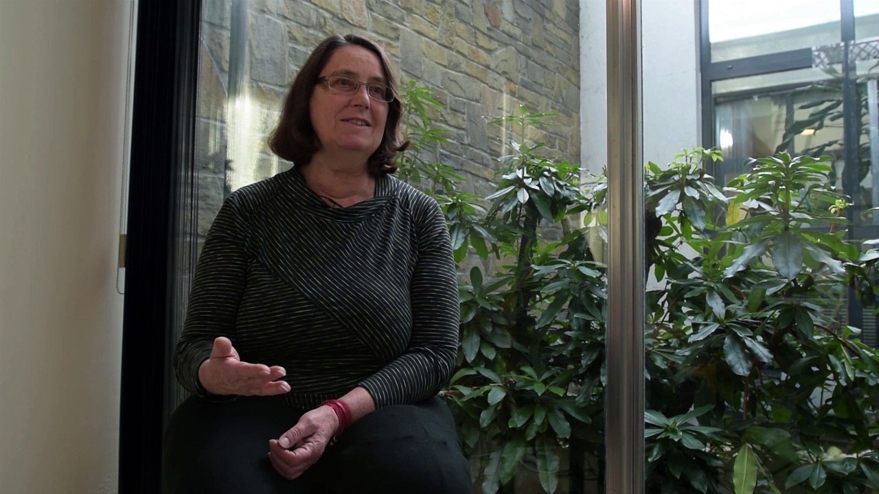 TTIP : The healthcare system and the environment at risks - Sharon Treat, US lawyer