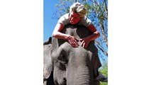 Elephants - gentle, warmhearted giants | Bodo Förster | TEDxKlagenfurt