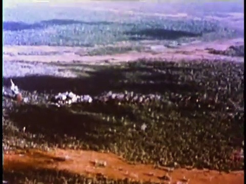 Where Have all the Flowers Gone: Eve of Destruction