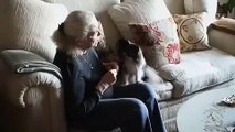 Glenn Close visits with Lauren Bacall and her Papillion, Sophie