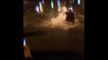 Kanye West saute dans un lac pendant son concert en Arménie