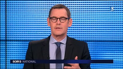 La Réunion : de nouvelles mesures pour faire face aux attaques de requins