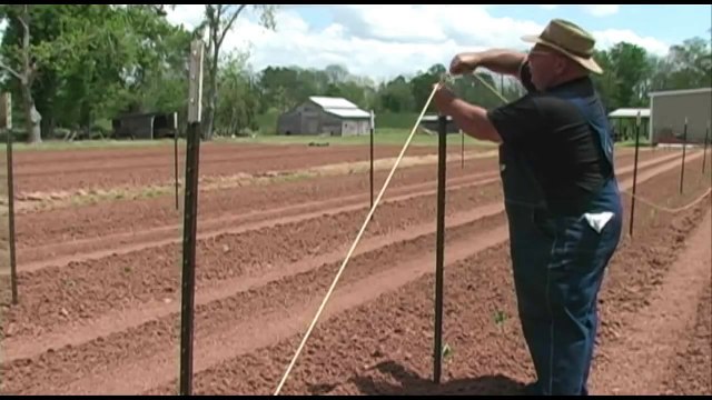 Crop Netting and Pole Beans - April 2010 - Growing a Vegetable Garden