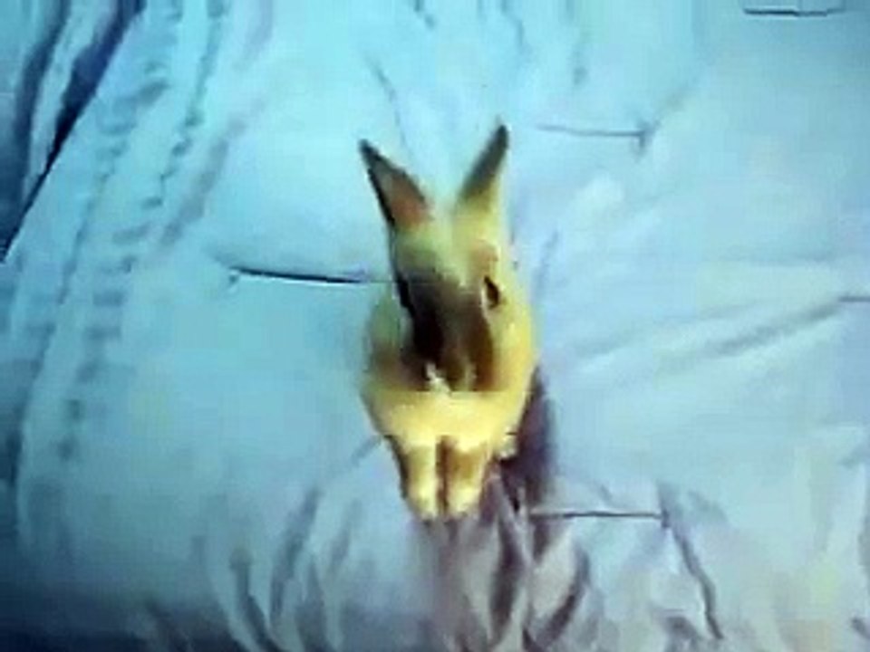 Bunny letter opener