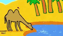 Dibujos animados para niños - Louie dibujame un canguro HD