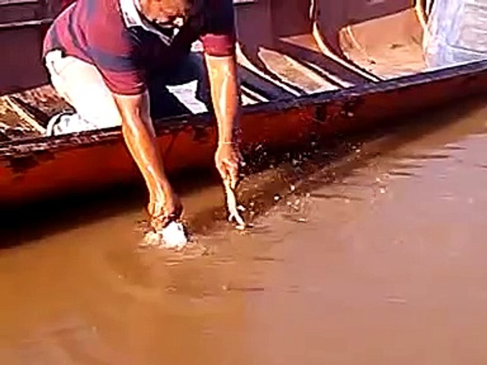 Lo muerde una pirana