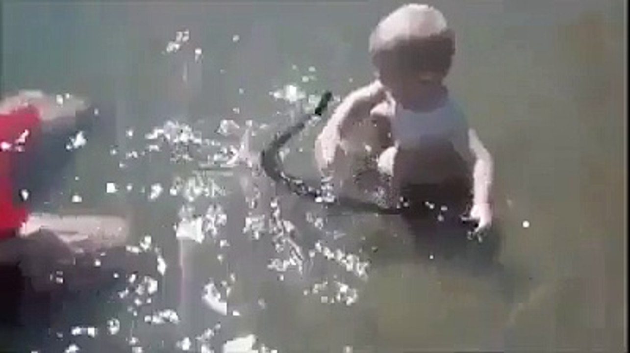 Baby friendship with the snake in the water