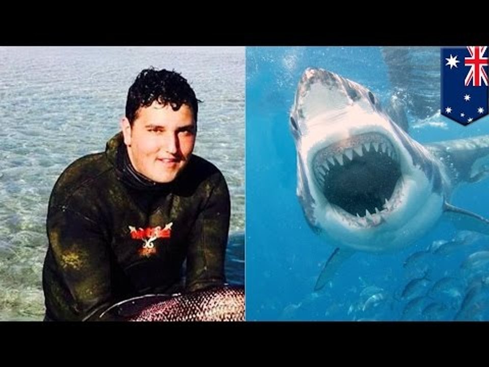 Joven australiano que estaba de pesca muere luego de ser atacado por un tiburón blanco