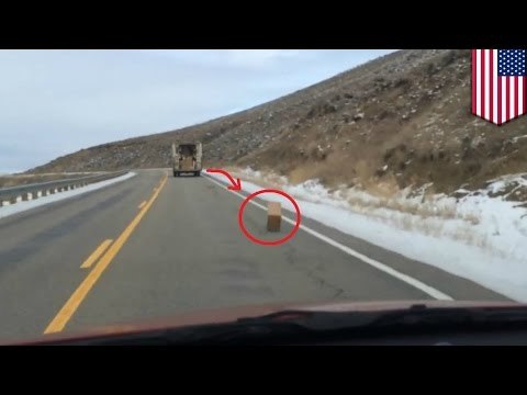 Camión de FedEx con las puertas abiertas deja en la carretera varios regalos de navidad