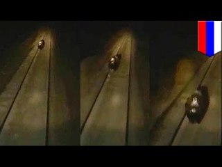Operadores de tren en Rusia intentan atropellar a un oso simplemente por diversión