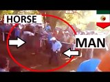 Hombre muere arrollado por un caballo mientras celebraba que había ganado una apuesta