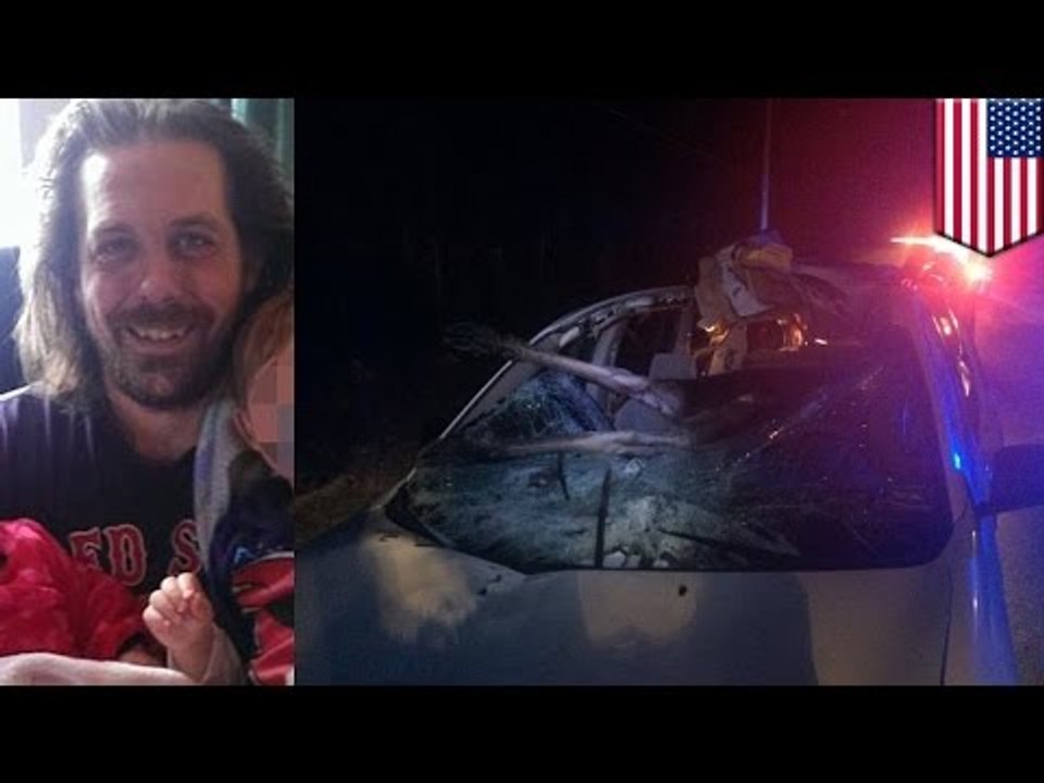 Hombre sale prácticamente ileso luego de chocar su auto contra un alce