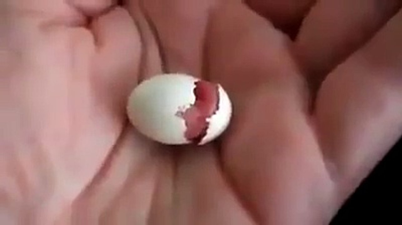 Wowww. Live Birth - So cute
