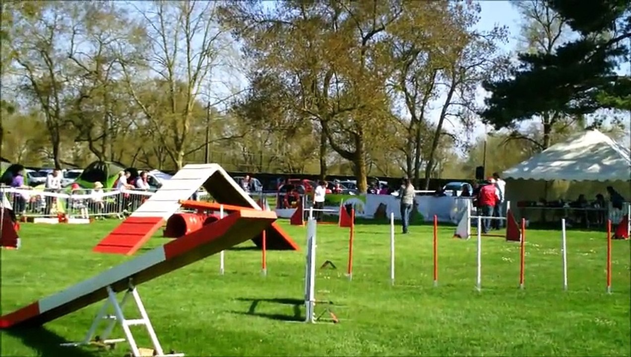 heaven amboise agility avril 2015